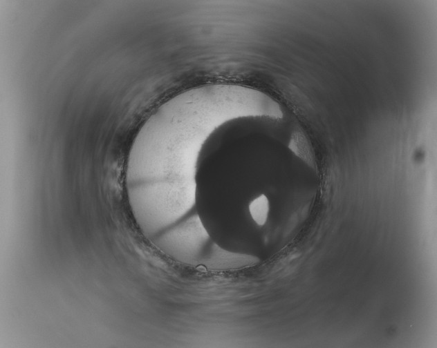 X0000113061010200909110909