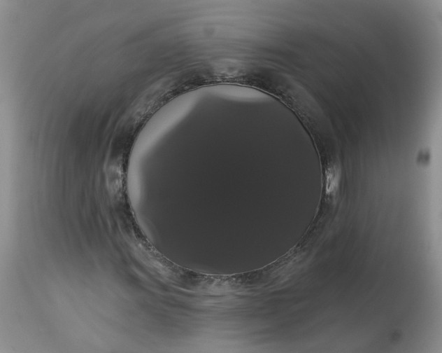X0000113061011200909110909
