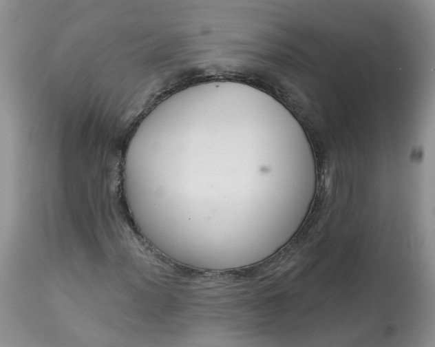 X0000113061012200909110909