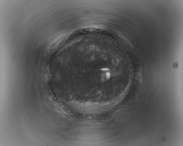 X0000113061014200909110909