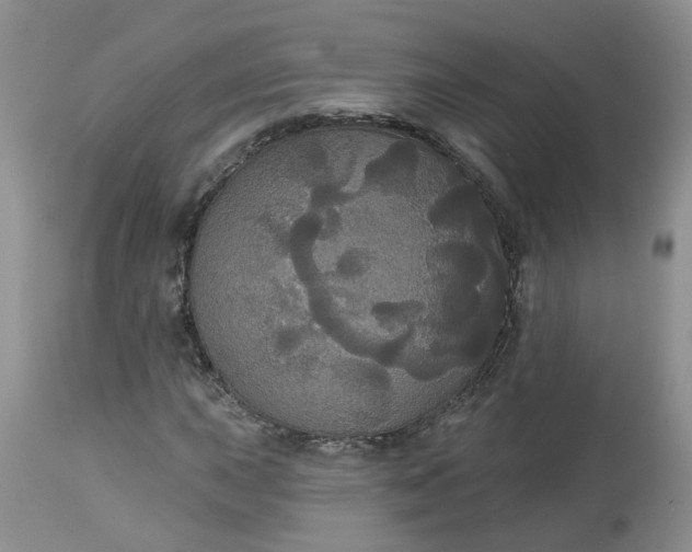 X0000113061015200909110909