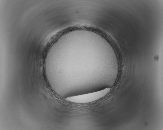X0000113061016200909110909