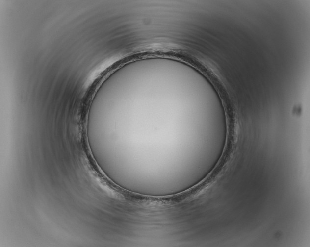 X0000113061018200909110909