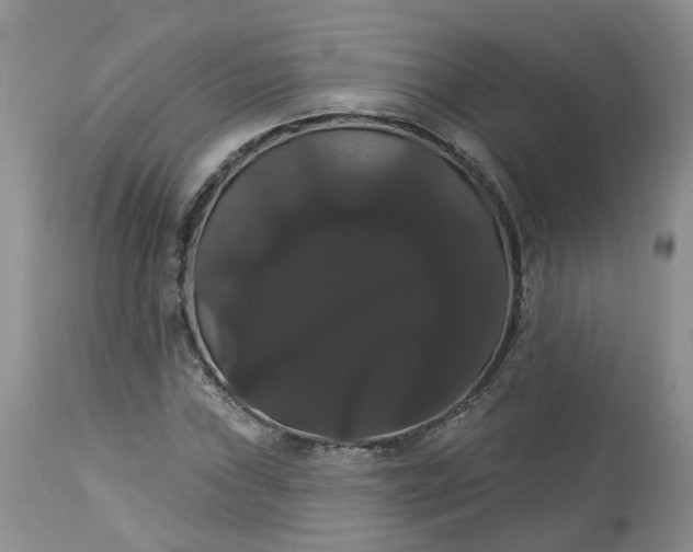 X0000113061019200909110909