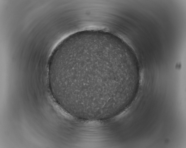 X0000113061021200909110909