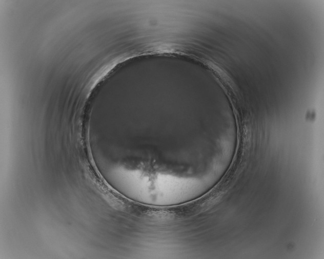 X0000113061023200909110909