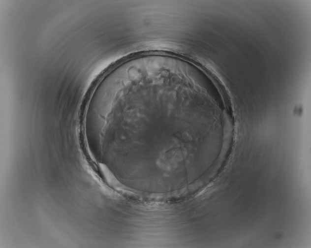 X0000113061024200909110909