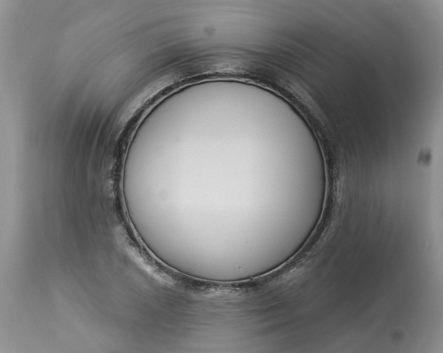 X0000113061026200909110909