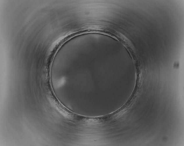 X0000113061027200909110909