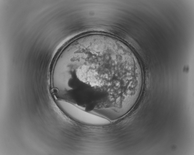 X0000113061028200909110909