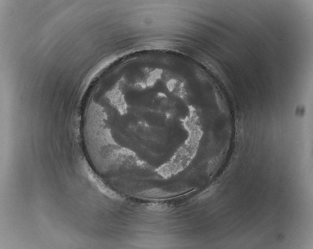 X0000113061029200909110909