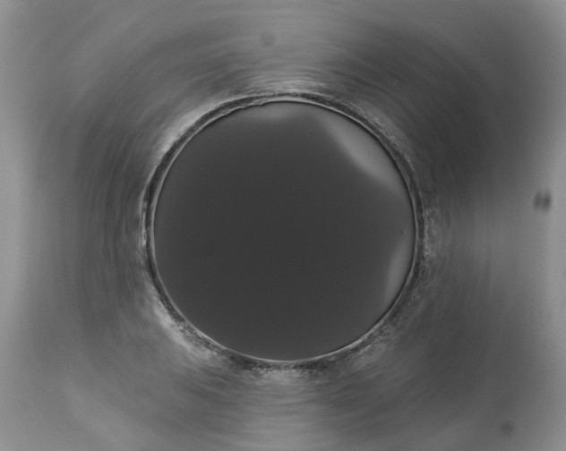 X0000113061031200909110909