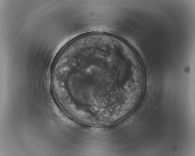 X0000113061032200909110909
