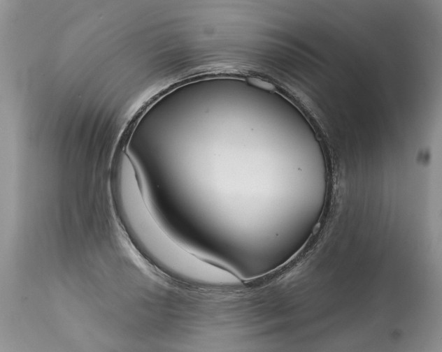 X0000113061034200909110909