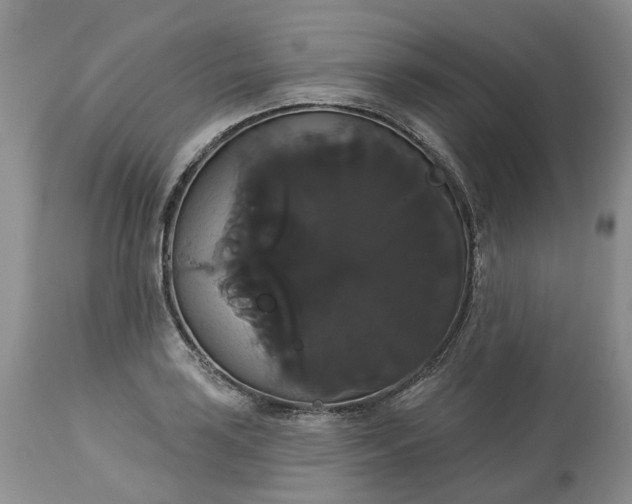 X0000113061035200909110909