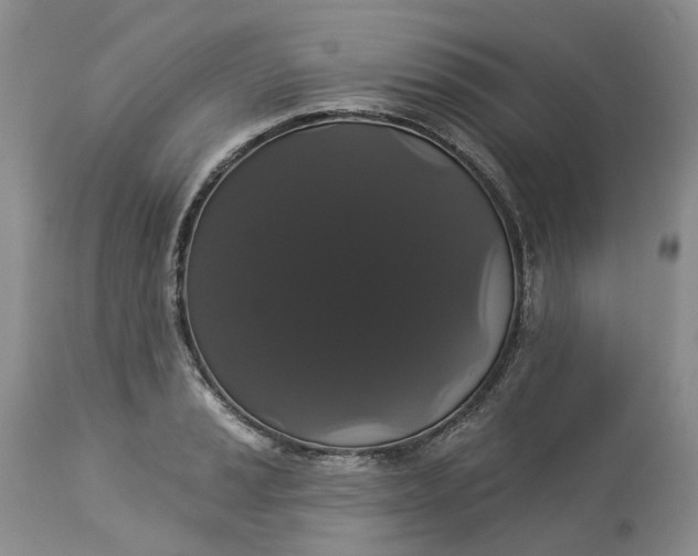X0000113061037200909110910