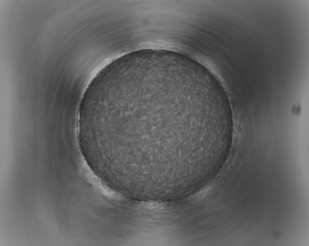 X0000113061040200909110910