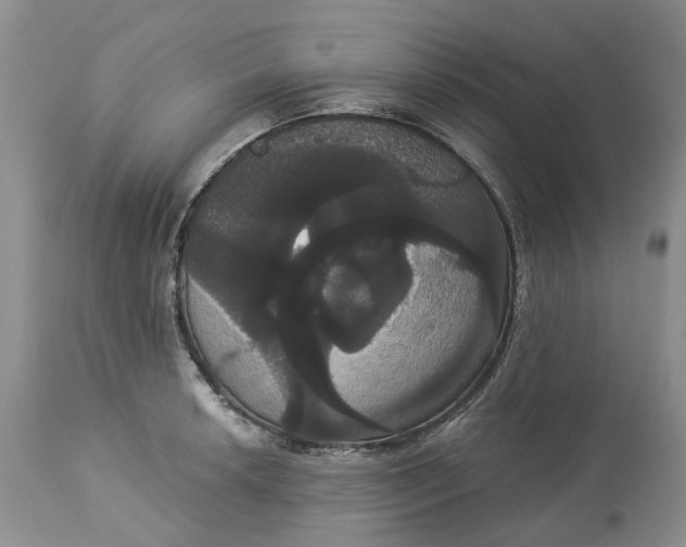 X0000113061042200909110910