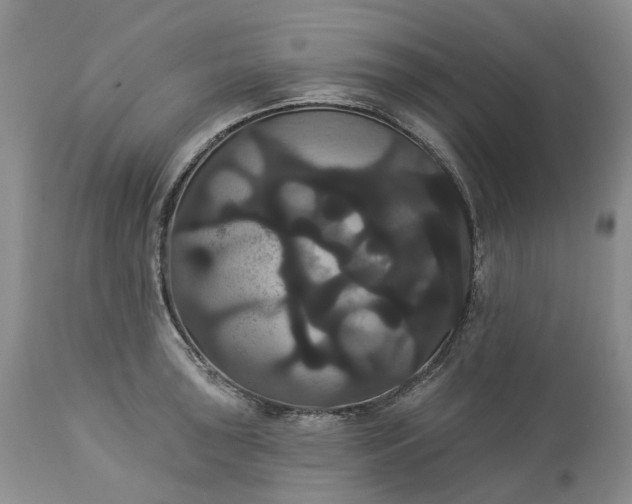 X0000113061043200909110910