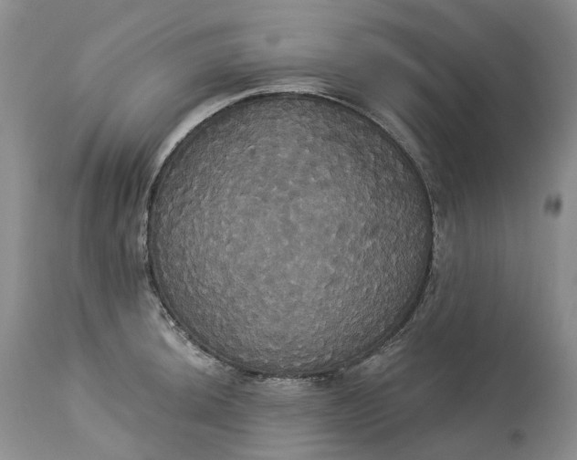 X0000113061044200909110910