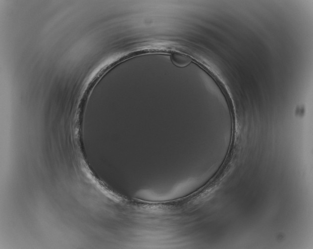 X0000113061045200909110910