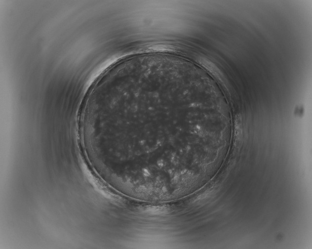 X0000113061047200909110910