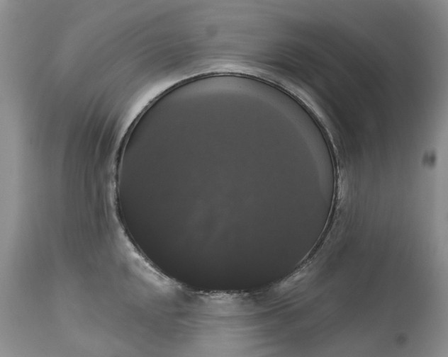 X0000113061048200909110910