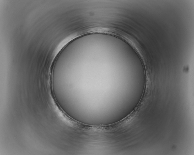 X0000113061050200909110910