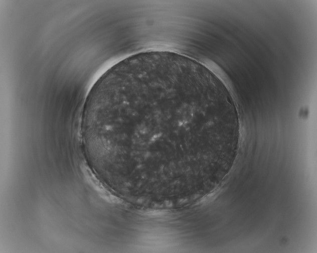 X0000113061052200909110910