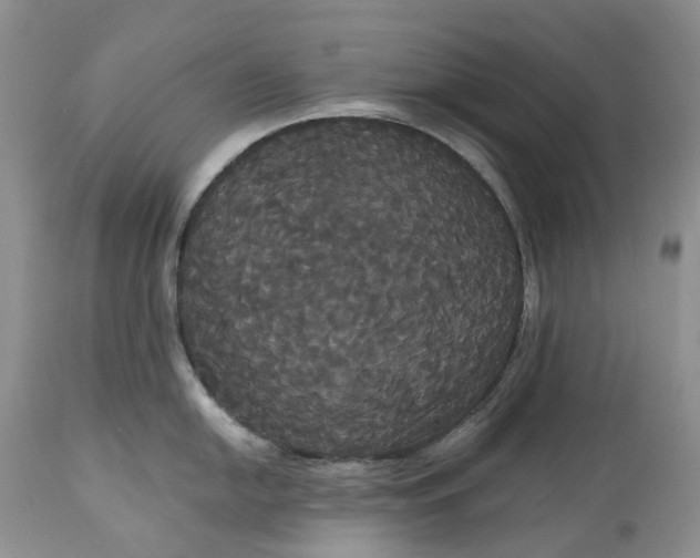 X0000113061054200909110910