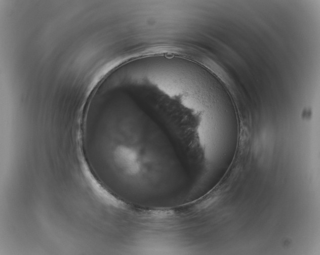 X0000113061055200909110910