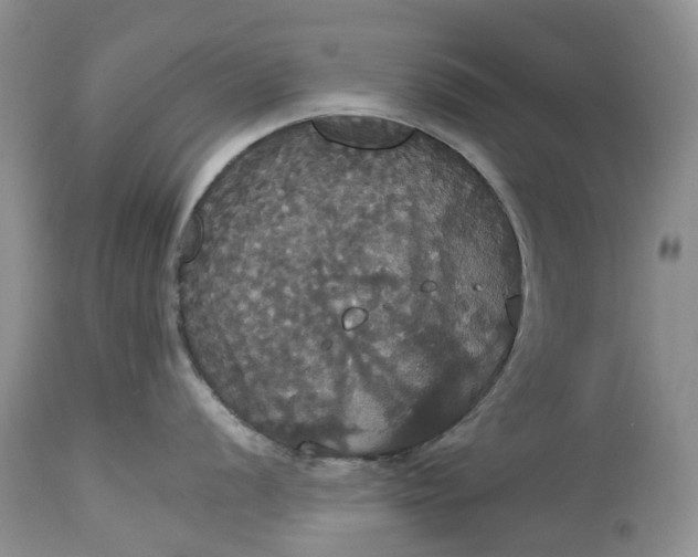 X0000113061056200909110910