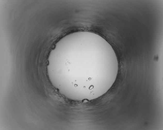 X0000113061057200909110909