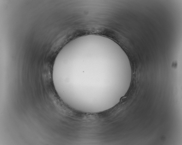 X0000113061058200909110909
