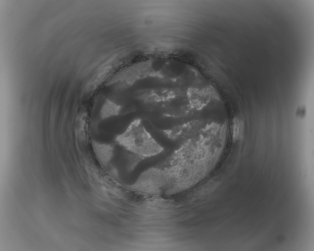 X0000113061059200909110909
