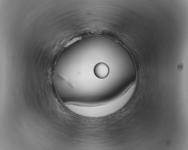 X0000113061060200909110909