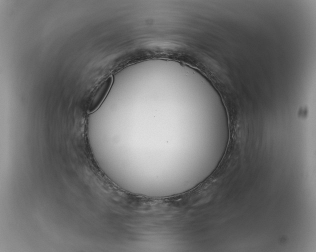 X0000113061061200909110909