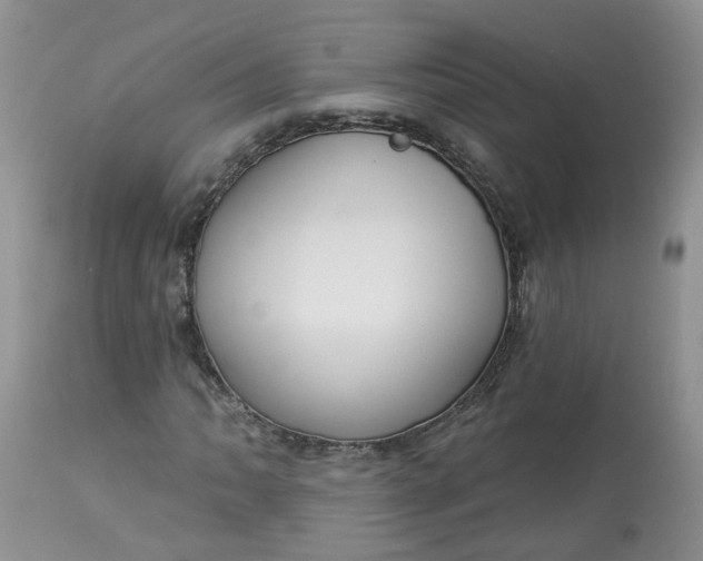 X0000113061062200909110909