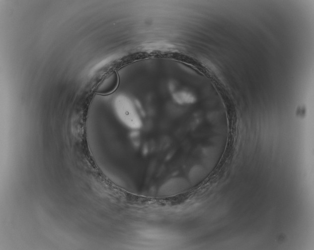 X0000113061063200909110909