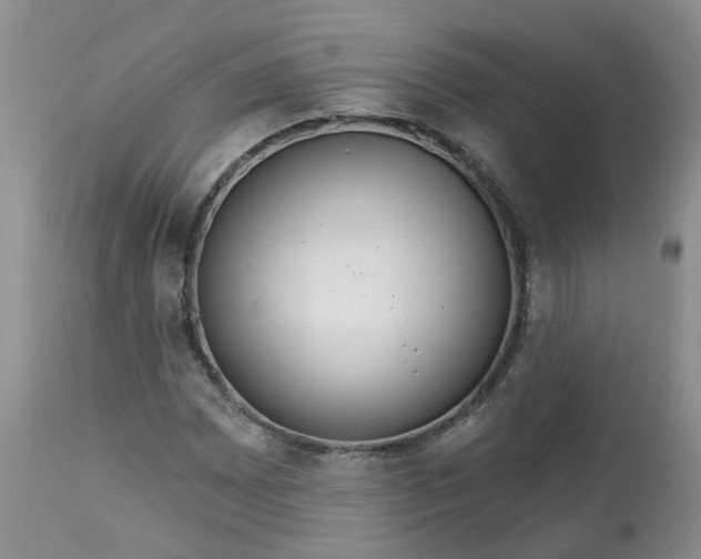 X0000113061065200909110909