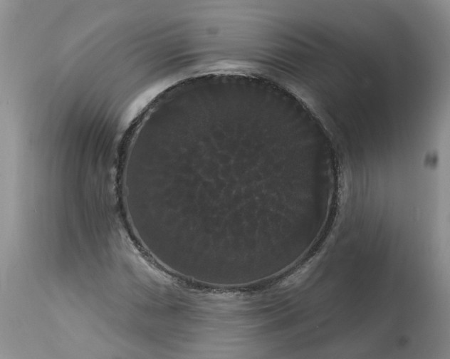 X0000113061066200909110909