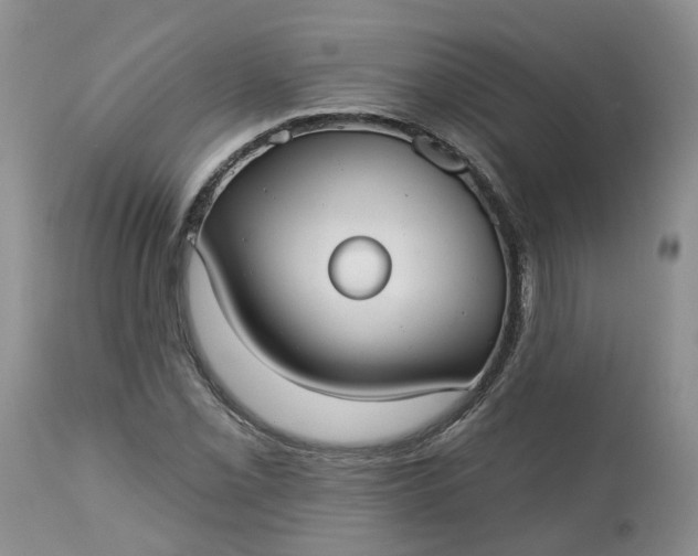 X0000113061069200909110909