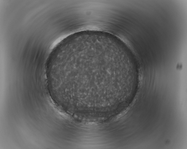X0000113061070200909110909
