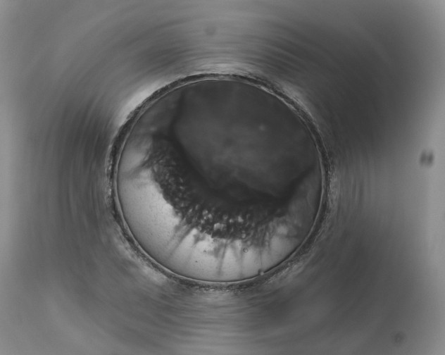X0000113061071200909110909