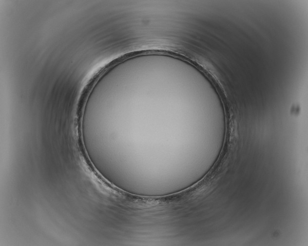 X0000113061072200909110909
