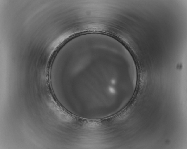 X0000113061074200909110909