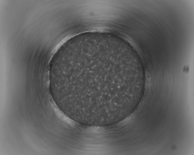 X0000113061075200909110909