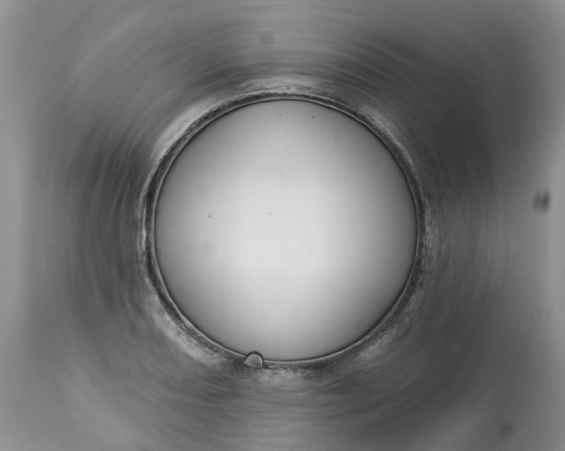 X0000113061082200909110908