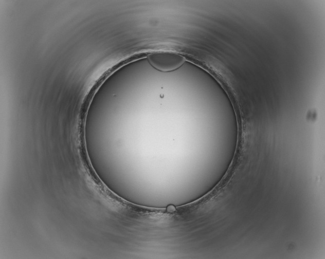 X0000113061085200909110908