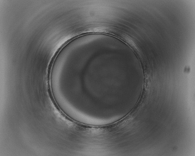 X0000113061087200909110908